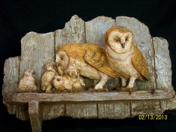 Barn Owls